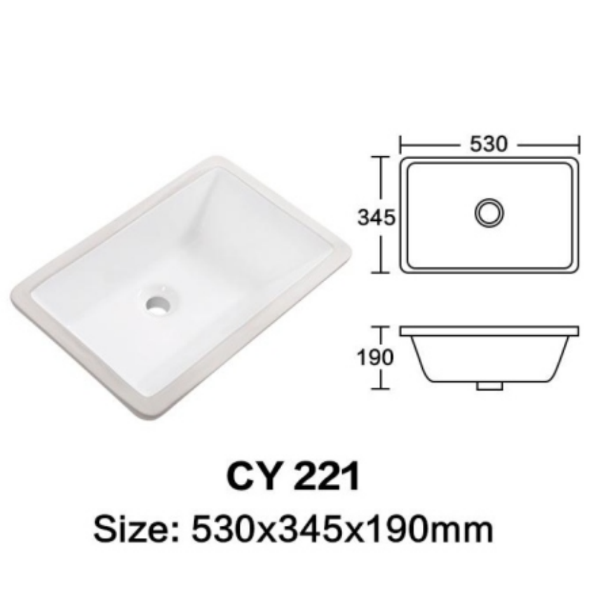 CY 221