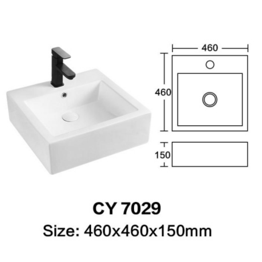 CY 7029